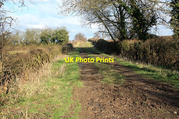 Photo 6"x4" T.R.O.T.  track to Gilbert's End Brotheridge Green c2009