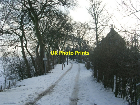 Photo 6"x4" Wildgrove - off Daleside Road Pudsey\/SE2233 c2009