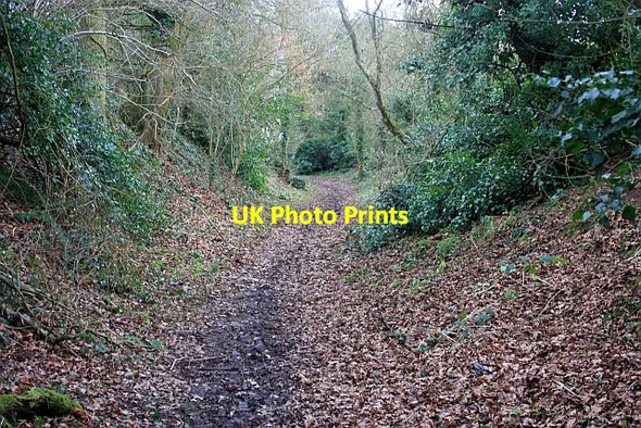 Photo 6"x4" Holloway to West Bank The Hyde\/SO8340 c2009
