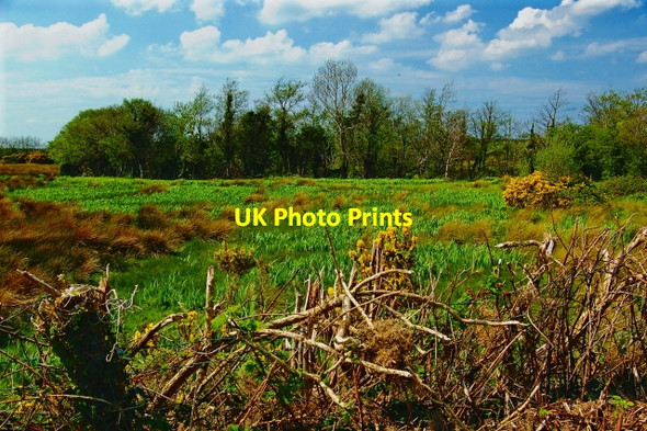 Photo 6"x4" Field south of N15 and west of L3104 Ballaghnatrillick c2008