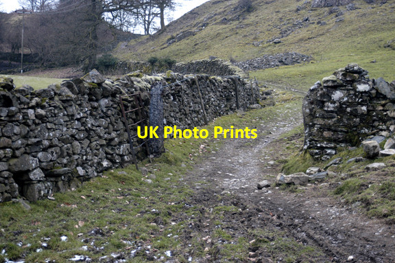 Photo 6"x4" Farm track to High House Farm Bowness-On-Windermere c2009