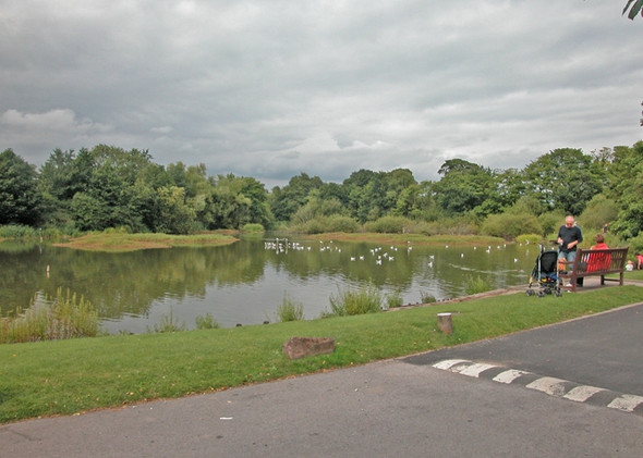 Photo 6"x4" Christleton Pond Christleton c2005