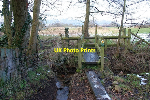 Photo 6"x4" Footbridge, Lower Arles Wood Blackmore End\/SO8144 c2009