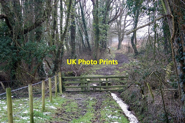 Photo 6"x4" Entrance to Lower Arles Wood Blackmore End\/SO8144 c2009
