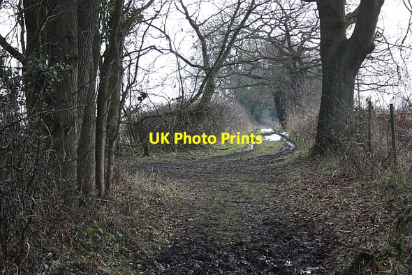 Photo 6"x4" Track emerging from Lower Arles Wood Blackmore End\/SO8144 c2009