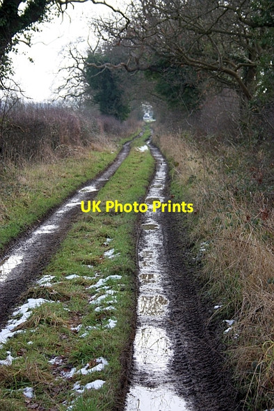 Photo 6"x4" Track to Oakmere caravan site Blackmore End\/SO8144 c2009
