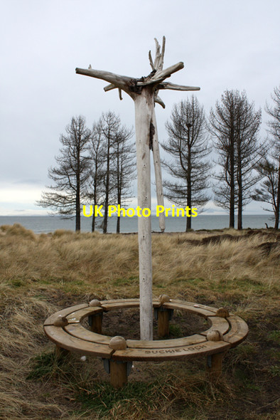 Photo 6"x4" Seat, Culbin Forest Findhorn c2009
