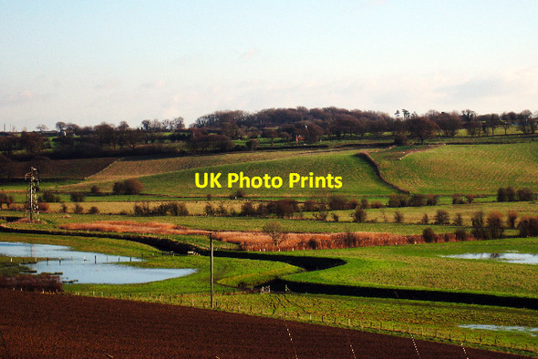 Photo 6"x4" Tillingham Valley Cock Marling c2008