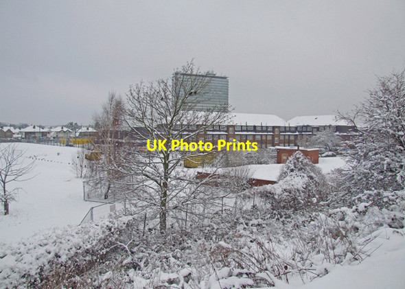 Photo 6"x4" Railway embankment view Surbiton c2009