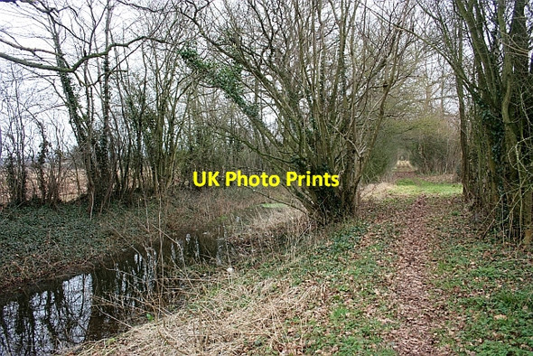 Photo 6"x4" The Hereford & Gloucester Canal Staplow c2009