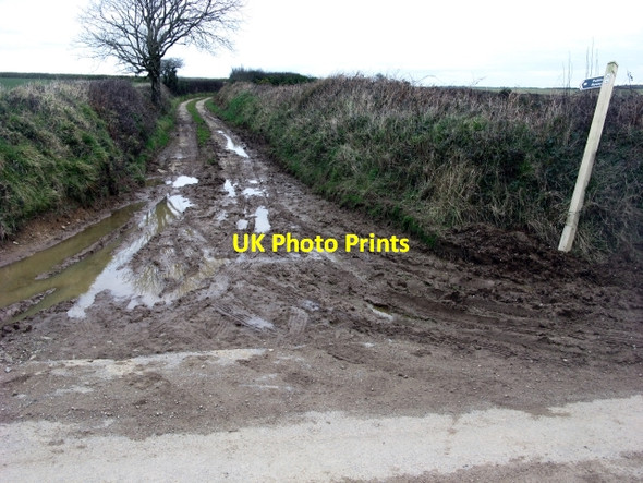 Photo 6"x4" Entrance to Homer Downs Public Byway Trendeal c2009