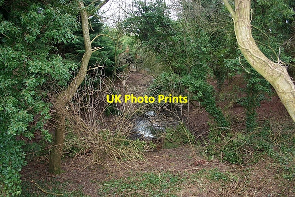 Photo 6"x4" The old canal, Staplow Staplow c2009