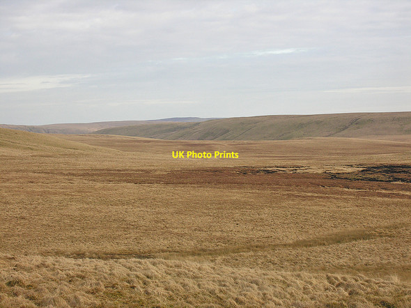 Photo 6"x4" Bog north of Banc y Llyn Banc-y-llyn c2009