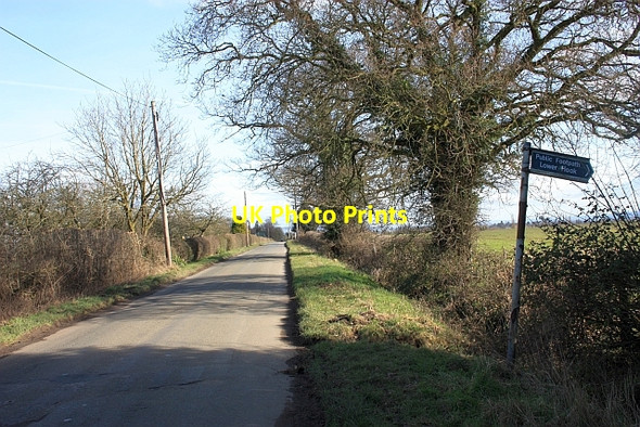 Photo 6"x4" The Upper Hook road Hook Bank c2009