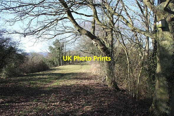 Photo 6"x4" Railway nature reserve Gilver's Lane c2009