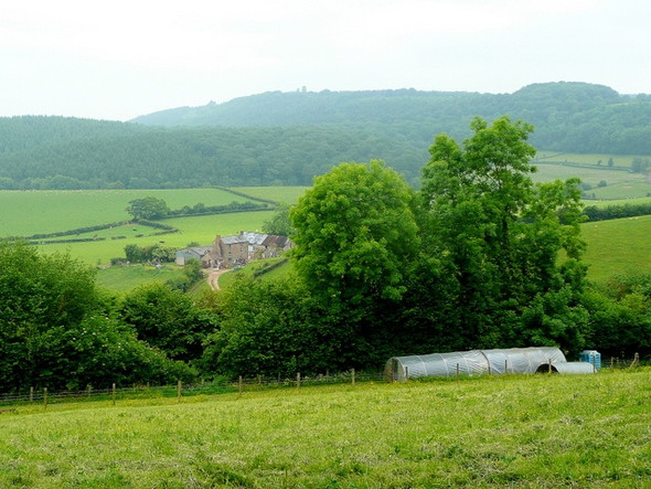 Photo 6"x4" Land above Twizling Farm Ruardean Hill c2009