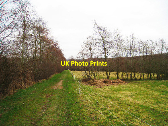 Photo 6"x4" Fields near Hurst Green Hurst Green\/TQ7327 c2009