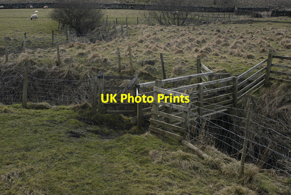 Photo 6"x4" Gated bridge on the Ribble Way Foredale c2009