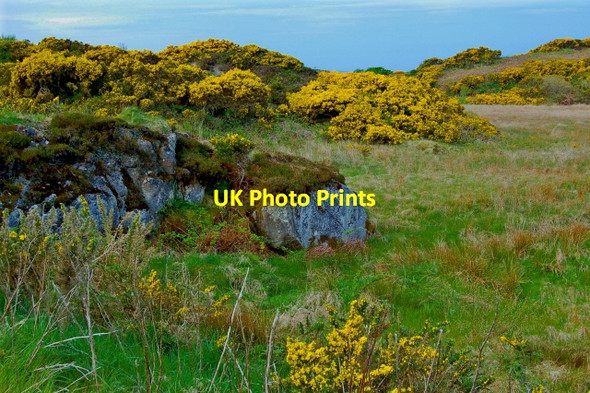 Photo 6"x4" Bunbeg Harbour Road - Road scene Bunbeg c2008