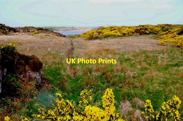 Photo 6"x4" Bunbeg Harbour Road - Road Scene Bunbeg c2008