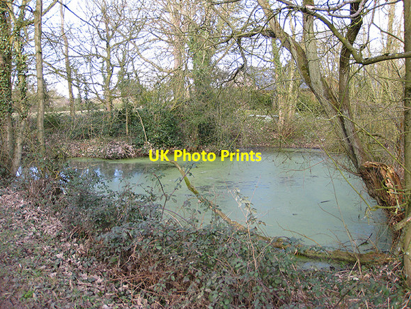 Photo 6"x4" Pond near Garway Common Garway c2009