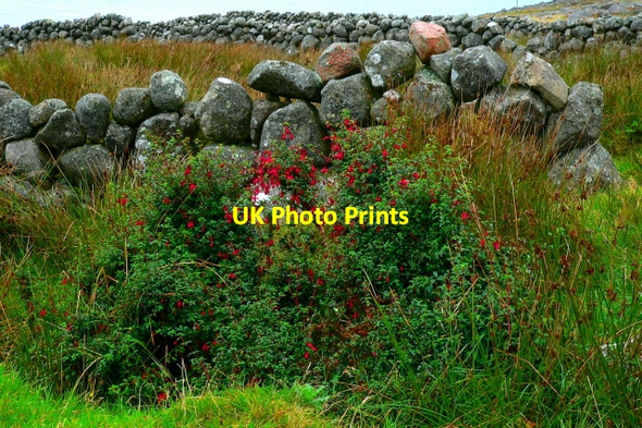 Photo 6"x4" Brinlack - Stone walls in field Brinlack c2005
