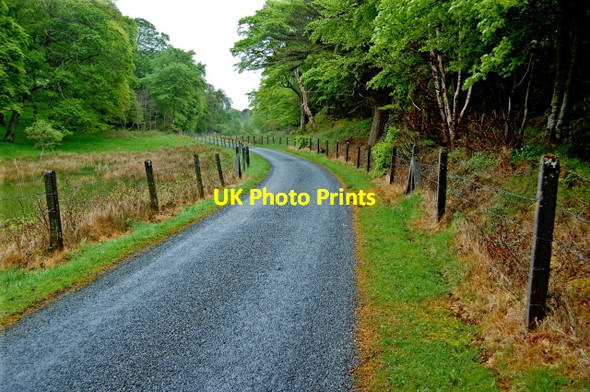 Photo 6"x4" Road from Capuchin Friary just south of Ard's Forest Creeslough c2008