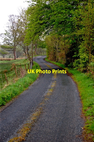 Photo 6"x4" Road from Capuchin Friary just south of Ard's Forest Creeslough c2008 P1