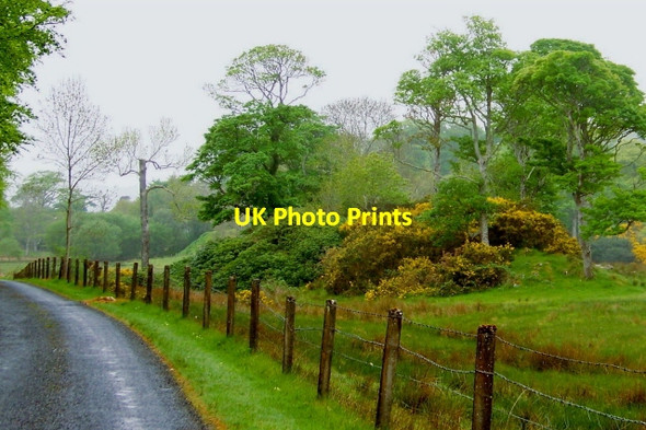 Photo 6"x4" Road from Capuchin Friary south of Ard's Forest Creeslough c2008 P1