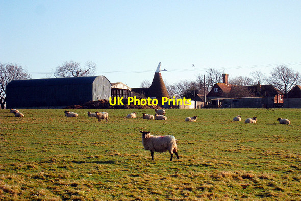 Photo 6"x4" Coldharbour Farm, Plummer Lane, Tenterden, Kent Tenterden c2009