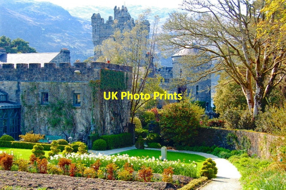 Photo 6"x4" Glenveagh National Park - Walled Garden area Church Hill\/C0615 c2008