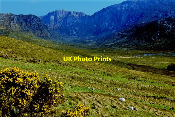 Photo 6"x4" Poison Glen - Seen from R251 viewpoint Money Beg c2008