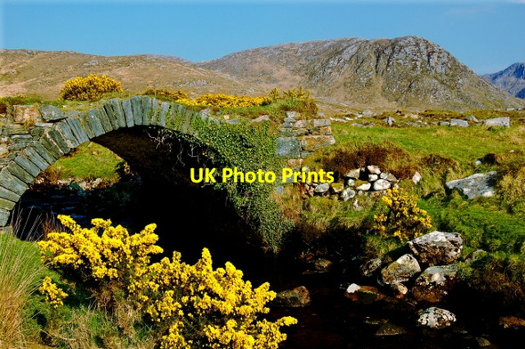 Photo 6"x4" Poison Glen - Arched footbridge over stream Money Beg c2008