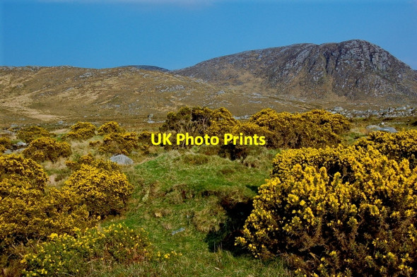 Photo 6"x4" Poison Glen - Upstream view from  arched footbridge Money Beg c2008
