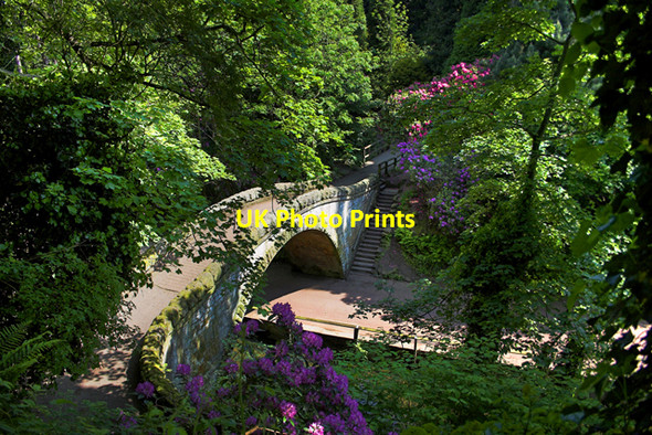 Photo 6"x4" Jesmond Dene Newcastle upon Tyne c2005