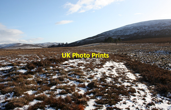 Photo 6"x4" Moorland near Lochenoun Knock of Braemoray c2009