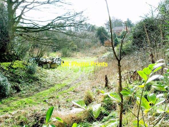 Photo 6"x4" The old quarry, Quarry Lane, Ketley Telford c2009