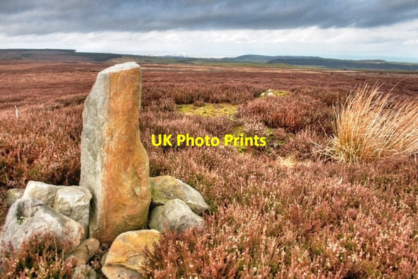 Photo 6"x4" Standing Stone on Tumulus Commondale c2009