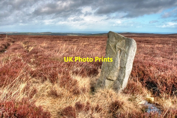 Photo 6"x4" Unmapped Boundary Stone Commondale c2009 P1