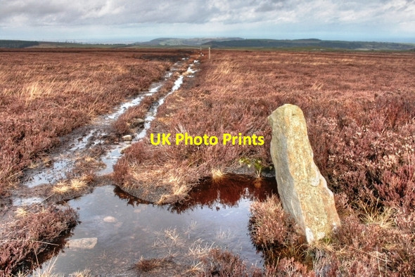 Photo 6"x4" Unmapped Boundary Stone Commondale c2009 P2