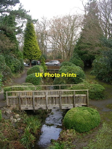 Photo 6"x4" Garden - Grove Road Ilkley c2009