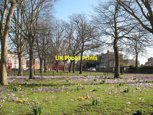 Photo 6"x4" Spring comes to Batley Park Greenwich\/TQ3977 c2009