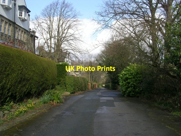 Photo 6"x4" Beechwood Grove - Kings Road Ilkley c2009
