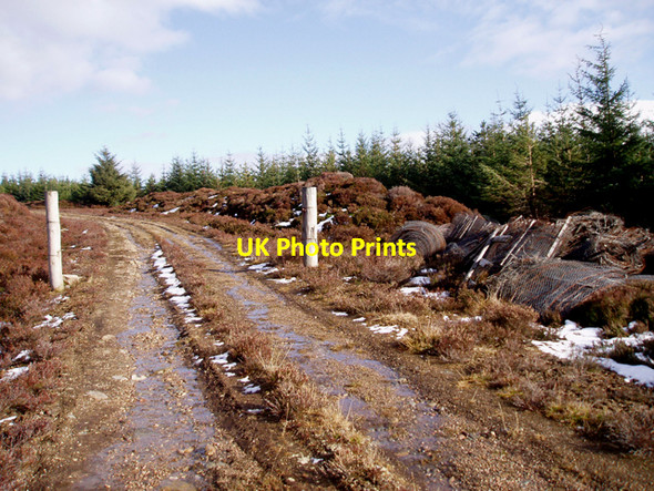 Photo 6"x4" Old gateposts, Tom Seileach Ruthven\/NH8133 c2009