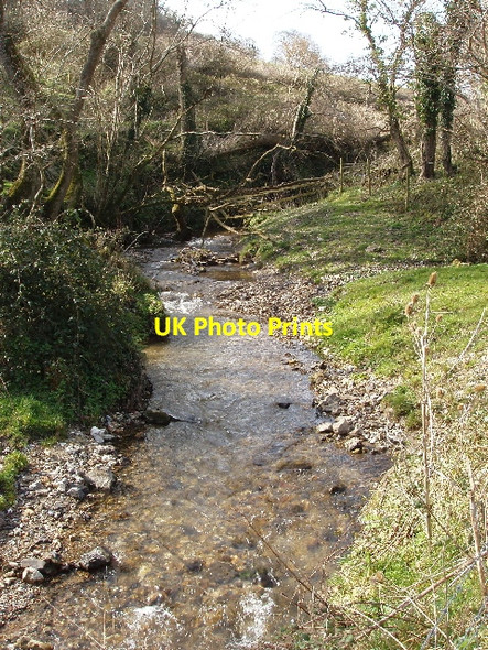 Photo 6"x4" Old Mill Stream, Branscombe Vicarage c2009