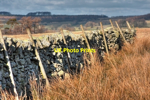 Photo 6"x4" Wall at High Lanshaw Keld\/NY5514 c2009