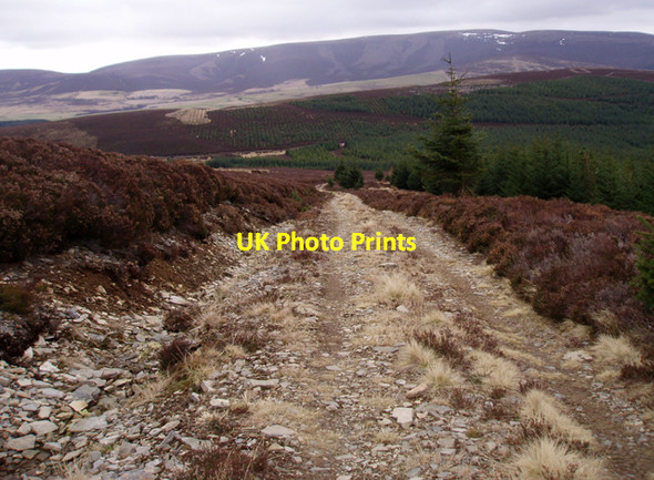 Photo 6"x4" Track above Tarf Moss Clash Wan c2009