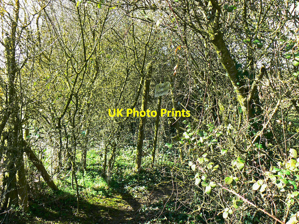 Photo 6"x4" Footpath, near West Marsh Farm, Purton Purton Common c2009