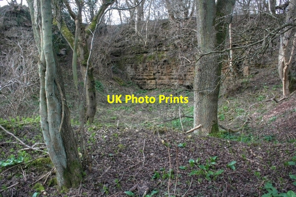 Photo 6"x4" Disused Quarry, Low Moor Richmond\/NZ1701 c2009