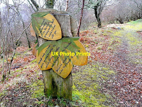 Photo 6"x4" Pathside poetry in Abriachan Woods Balchraggan\/NH5634 c2009